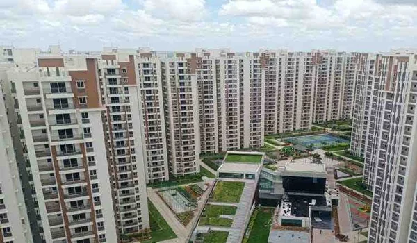 What Is Thane West Known For? Featured Image of What Is Thane West Known For?